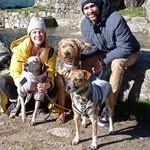 3 generations of rescued doggos