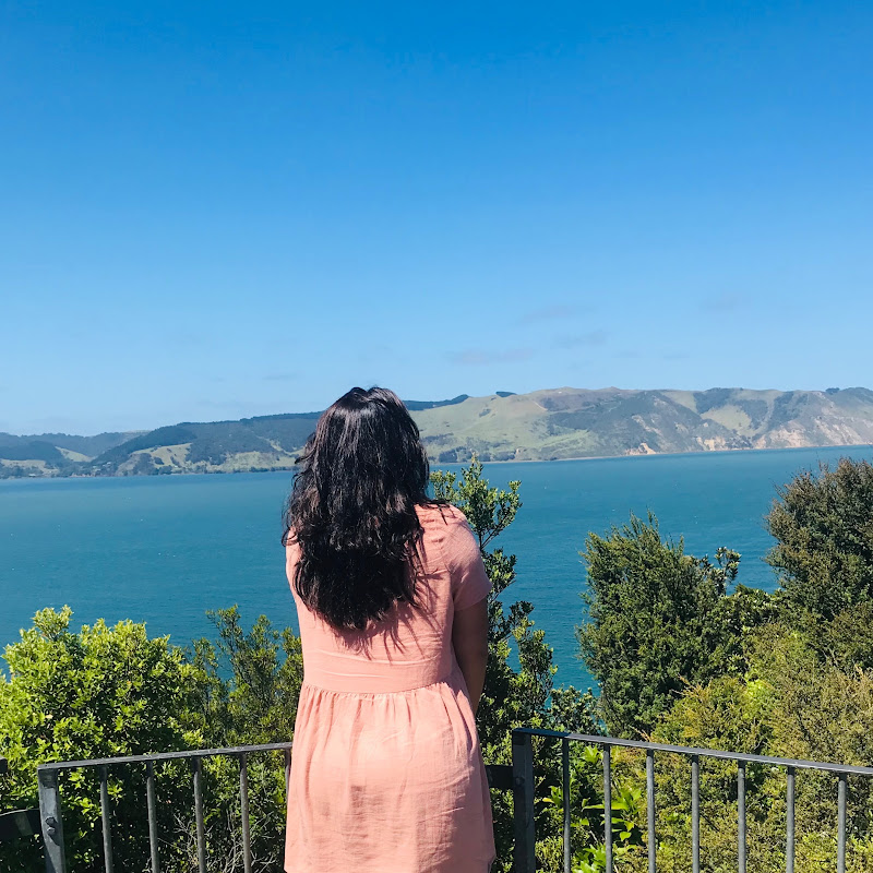 Tehani NZ