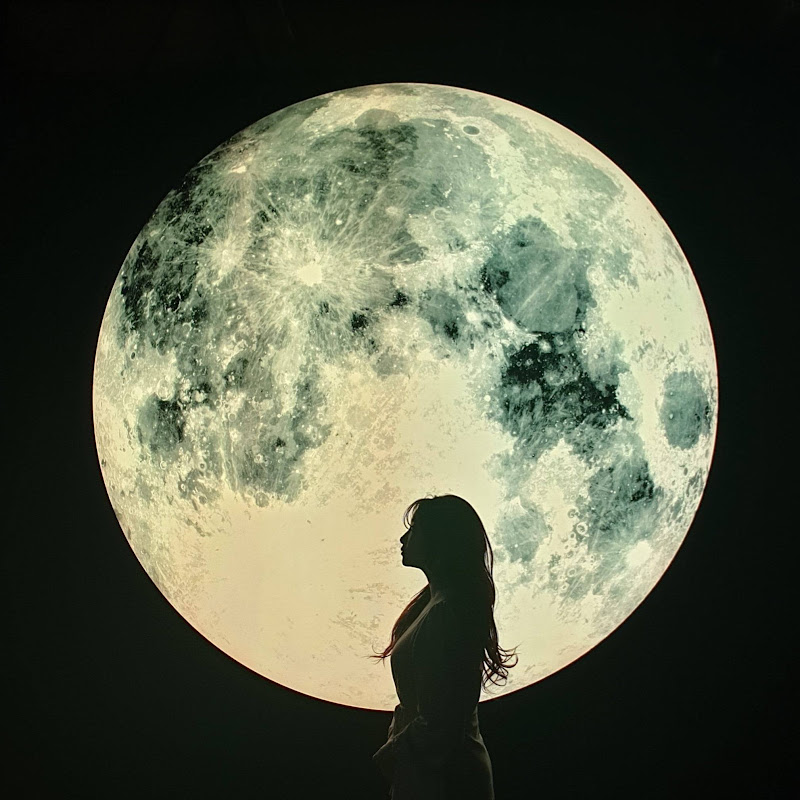 我是女丑