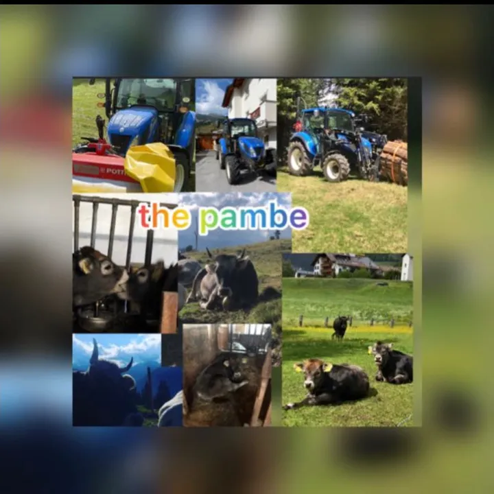🇦🇹🦅🚜Pamber🚜🦅🇦🇹