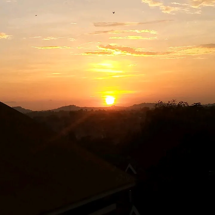 Mulongo