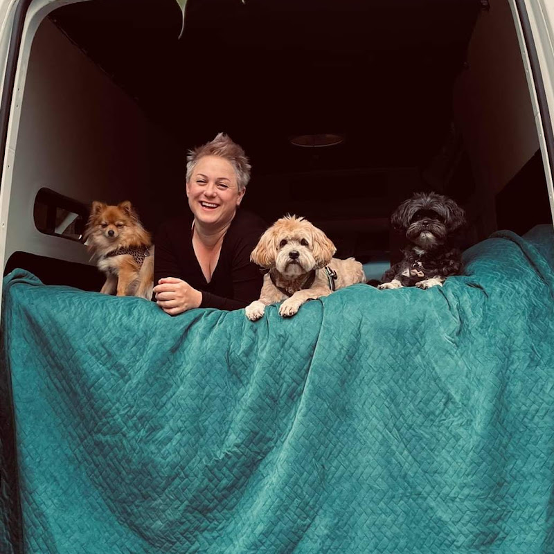 Say YES to new VANventures