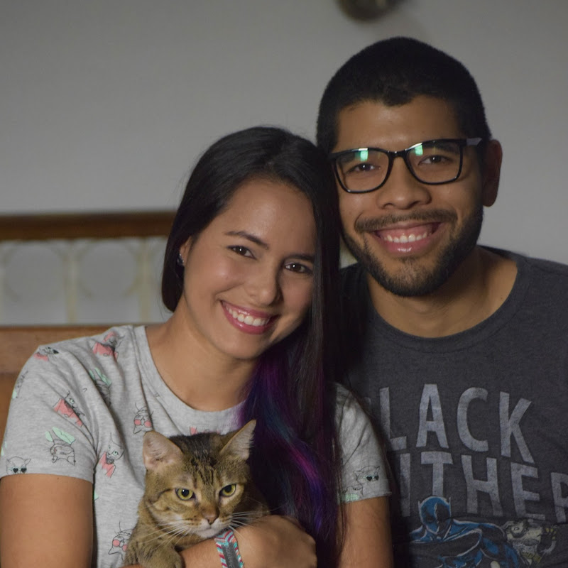 Our Purrfect Family