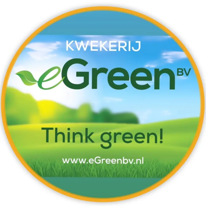 eGreen B.V.
