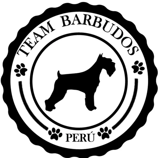 team.barbudos