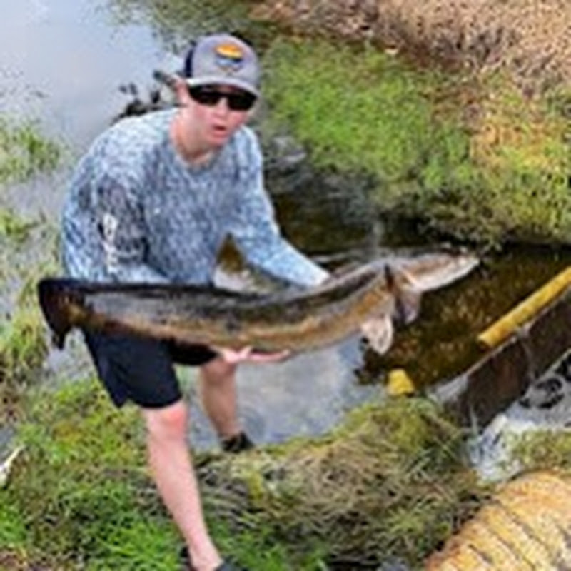 BASS FISHING PRODUCTIONS FAN PAGE