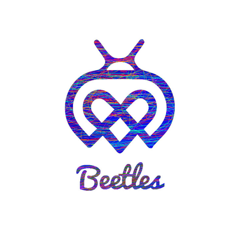 Beetles Crafts