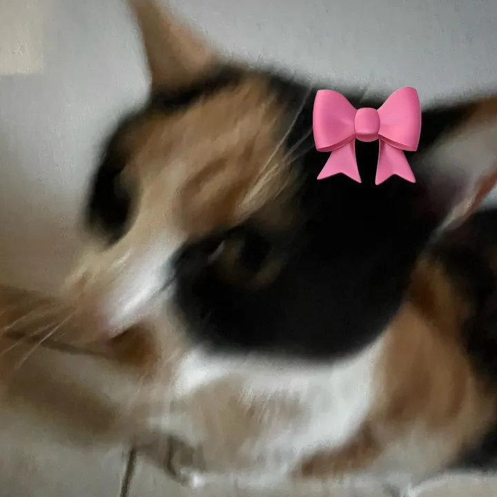 ꧁༺ 𝓝𝓲𝓴𝓪 𝓴𝓪𝓴𝓪 ༻꧂