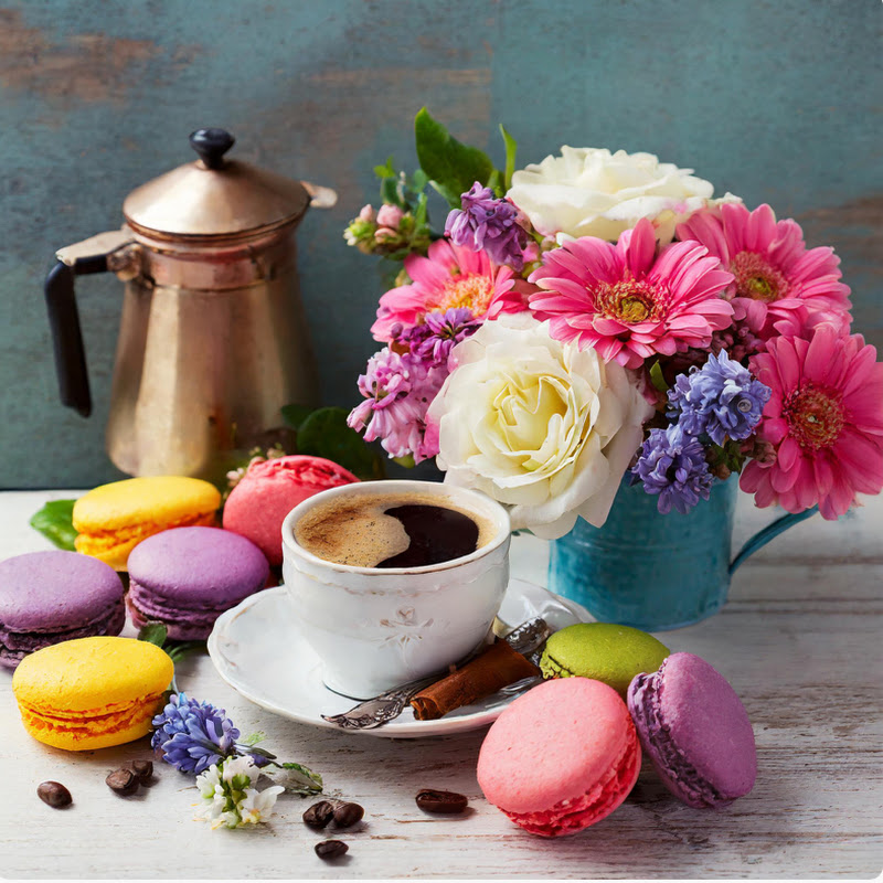  C’est la vie à la française!