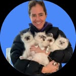 Floppycats™ | Cat Content