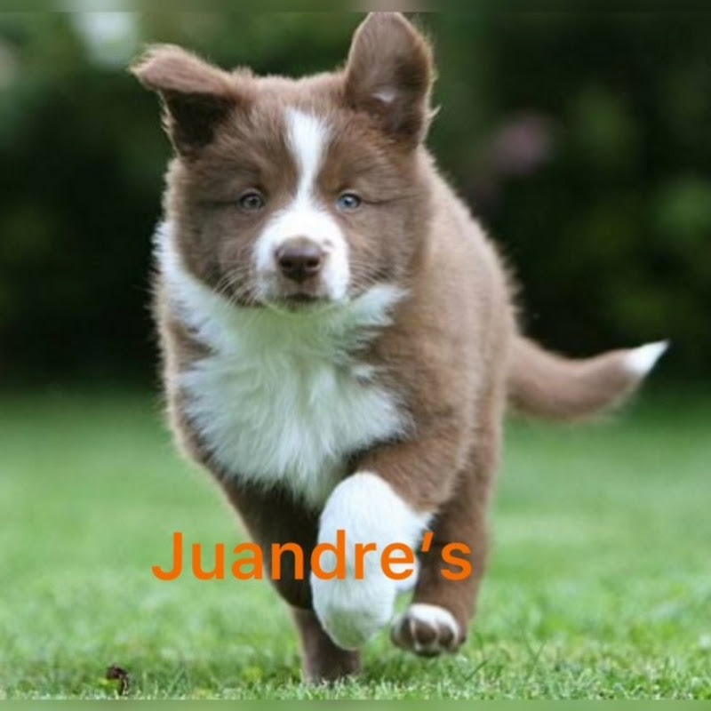 Juandre
