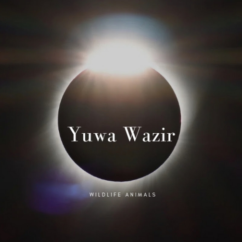Yuwa Wazir
