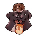 Cookie Monster, Daiquiri & Edamame ft Abi