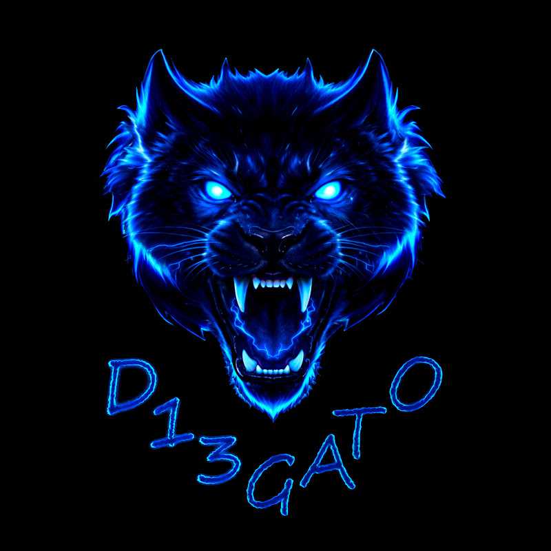 D13GATO DS13