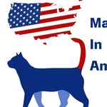 Magnagati in America