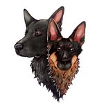 The Tired Pooch 🇨🇦