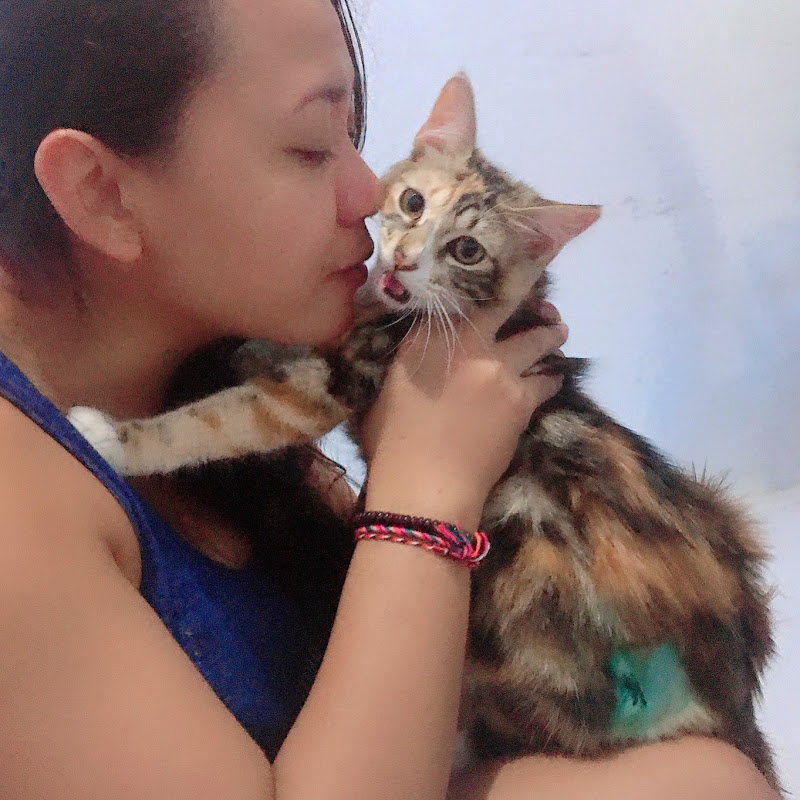 House of Cats Bali Indonesia 