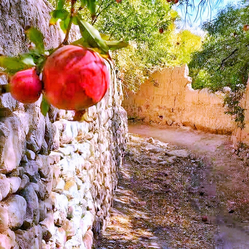 Village Vlog : زندگی در روستا