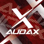Audax Bike