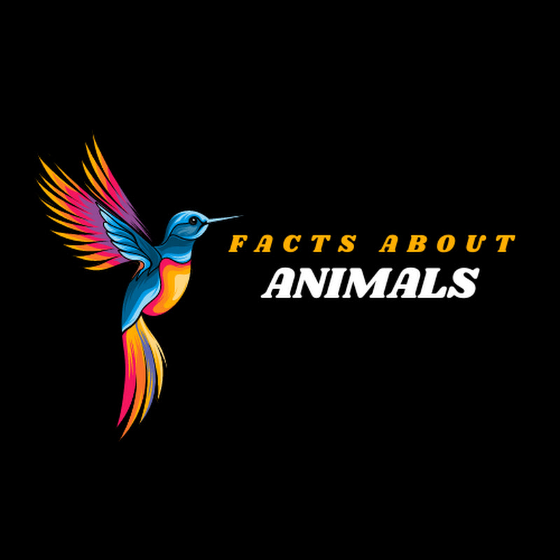 Facts About Animals