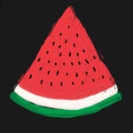 butterflies_lepidoptera_