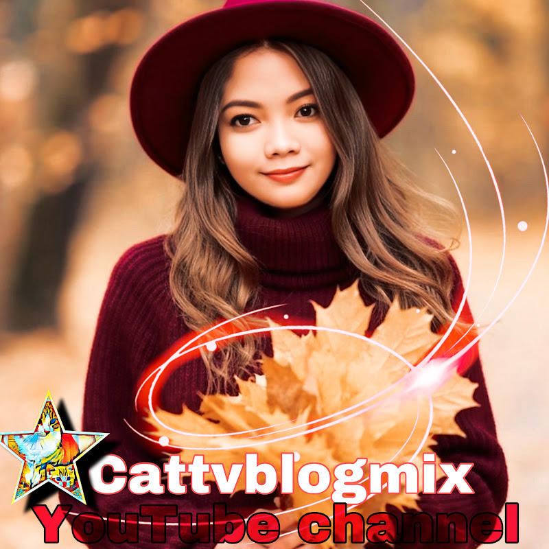 Cattvblogmix