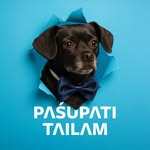 Pasupati Tailam