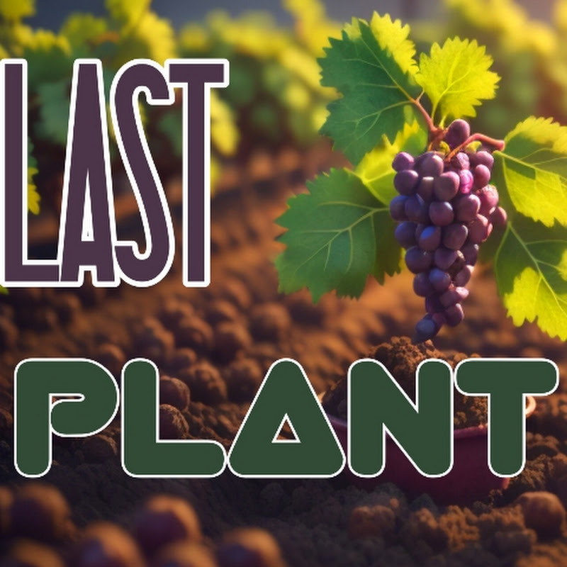 Last Plant