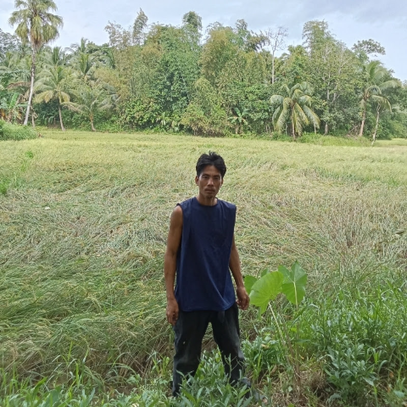 WARAY UPAY