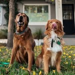 Adventures Of Huck & Sawyer
