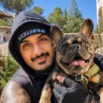 Blazzord & Dogs 🐶