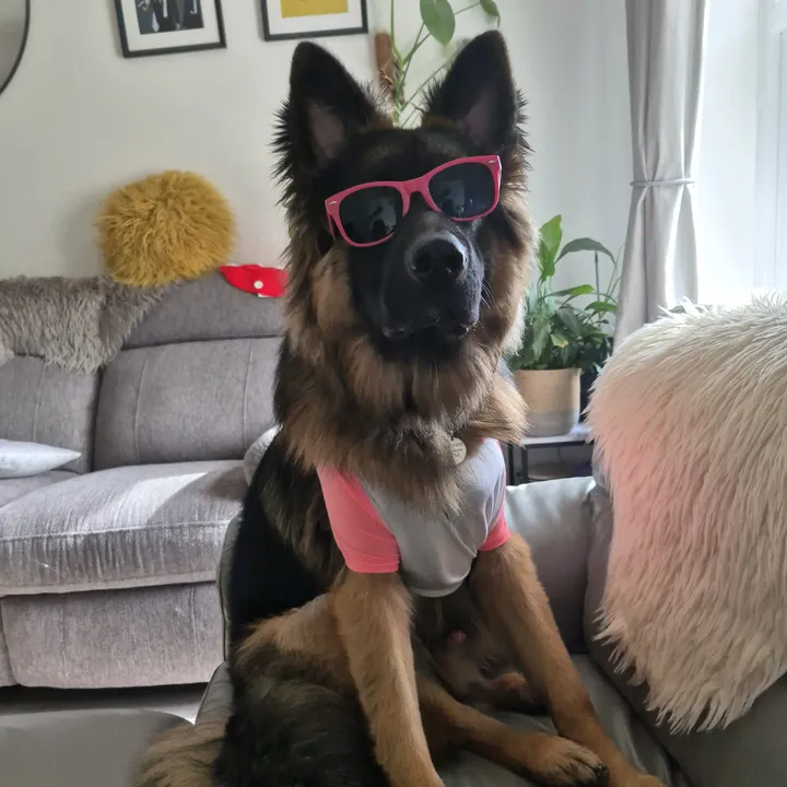 hans_gsd_highlands
