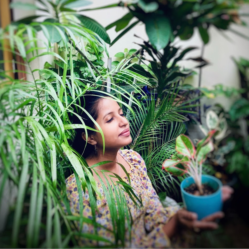 MyGardeniaMyPlace