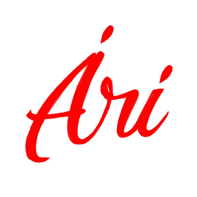 에이리 스튜디오 Ari