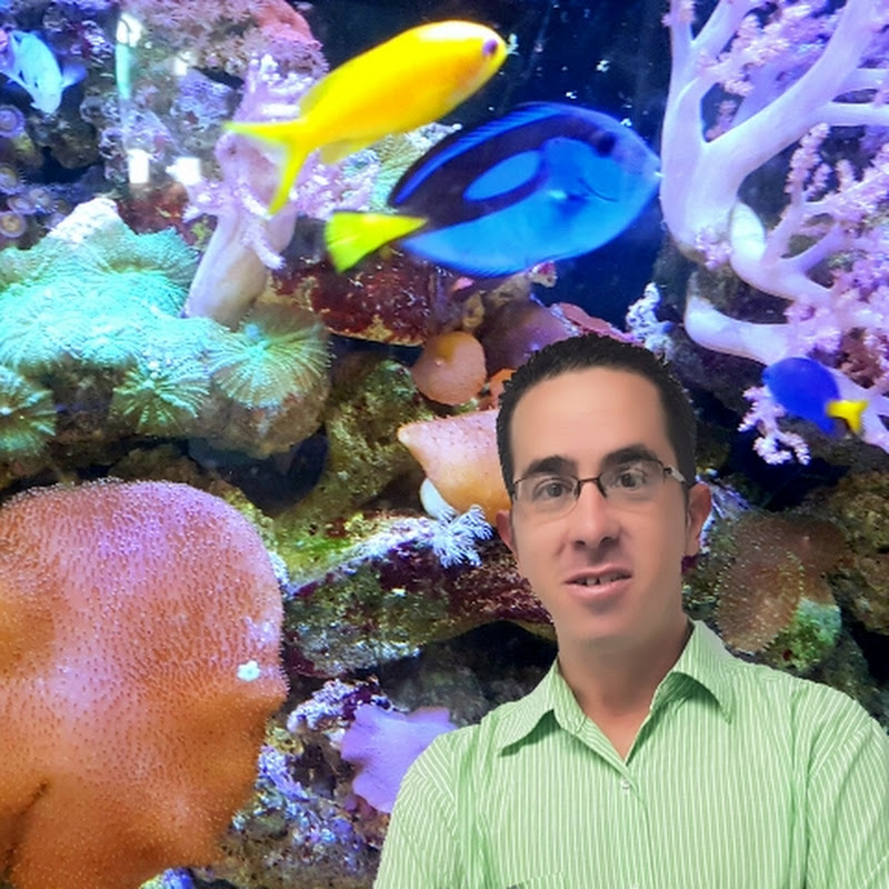 Wayne's Aquarium Addiction
