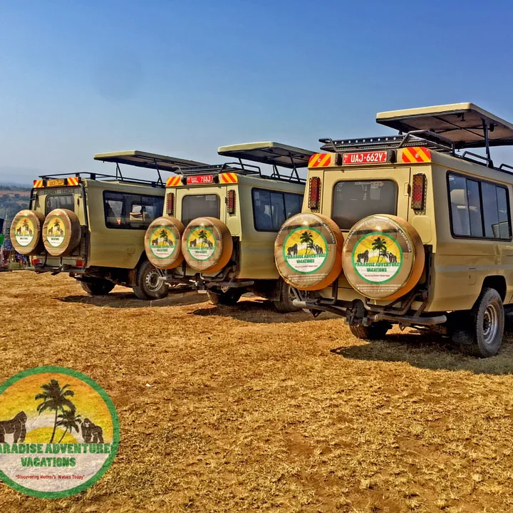 Paradise Adventure Vacations
