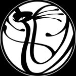 Alliance Las Vegas X Cobrinha Bjj
