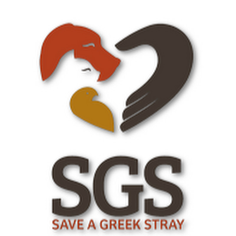 Save a Greek Stray