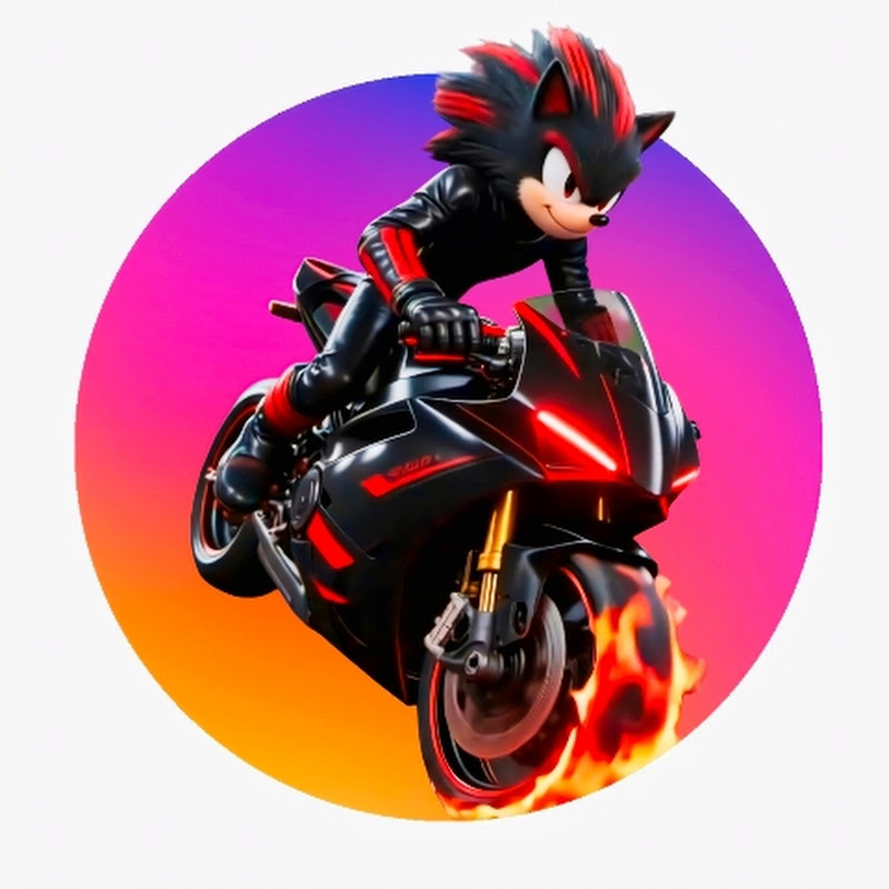 Sonic Riding