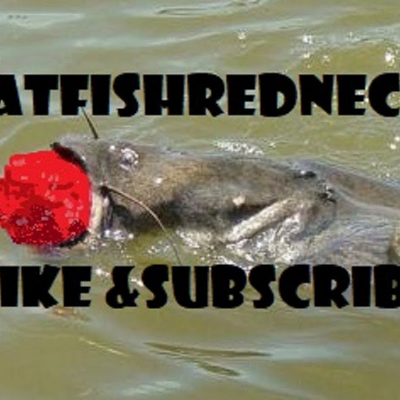 catfishredneck