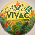 Vivac Skill Training Academy