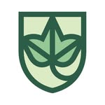 The Ivy School