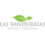 Las Bandurrias
