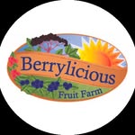 🫐Berrylicious Fruit Farm🫐