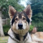 Eska🐺
