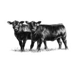 How Farms Work