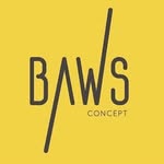 baws concept