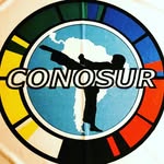 Taekwon-Do Conosur