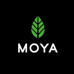 Moya Matcha 抹茶