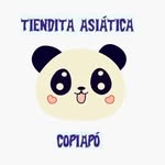 tiendita asiática copiapo